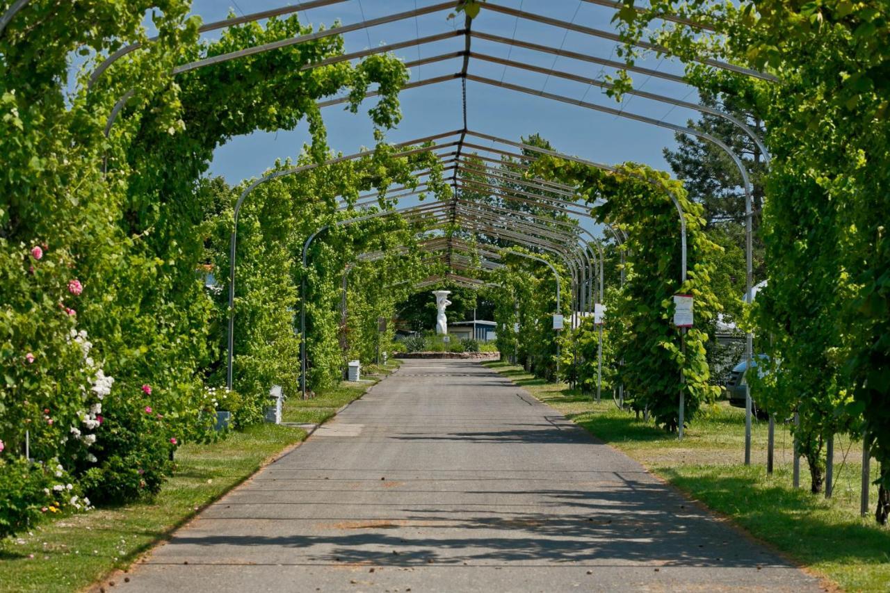 Knaus Campingpark Bad Dürkheim Exteriör bild